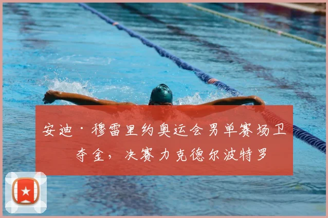 安迪·穆雷里约奥运会男单赛场卫冕夺金，决赛力克德尔波特罗