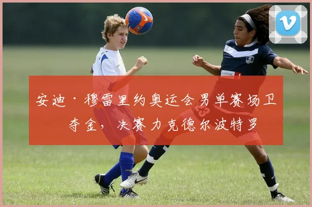 安迪·穆雷里约奥运会男单赛场卫冕夺金，决赛力克德尔波特罗